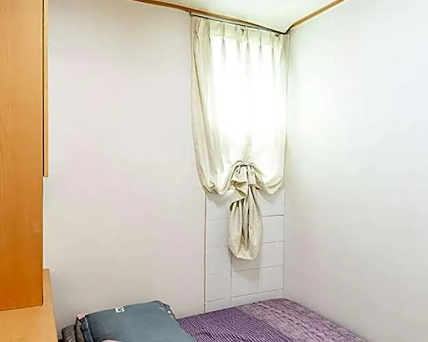 Dream Single House